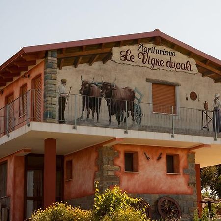 Agriturismo Le Vigne Ducali Màndas Exteriér fotografie