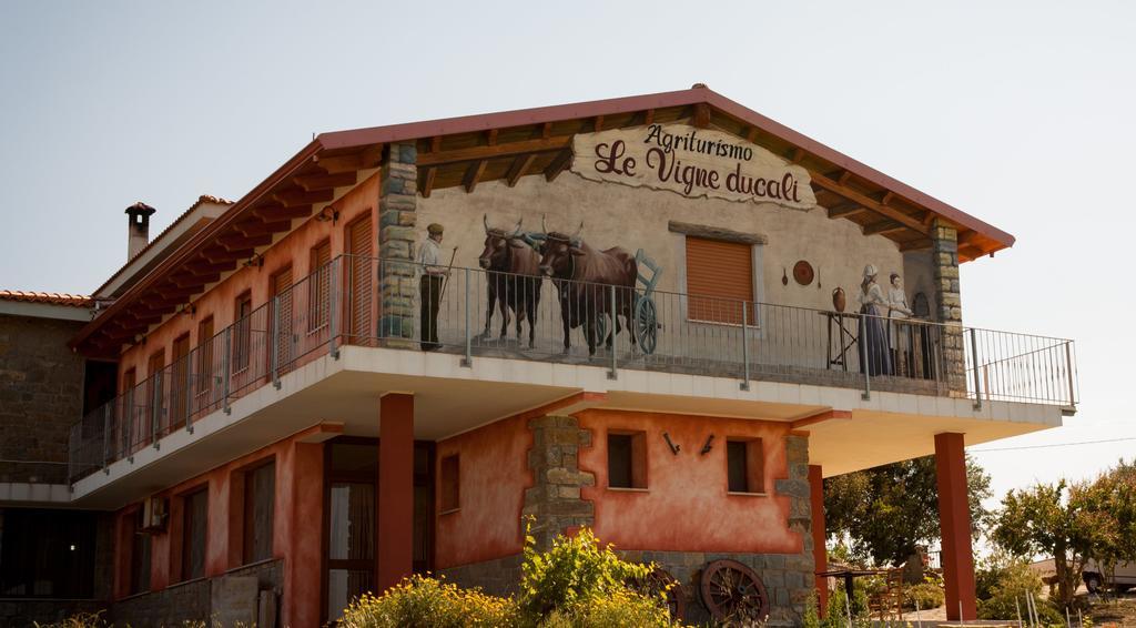 Agriturismo Le Vigne Ducali Màndas Exteriér fotografie